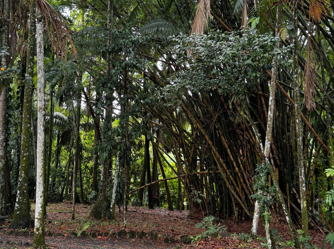 Horto Botanico Edith Gaertner-Blumenau必去景点