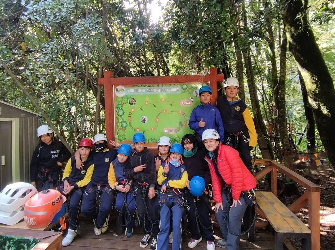 Salto los mellizos Palguin Adventure Park