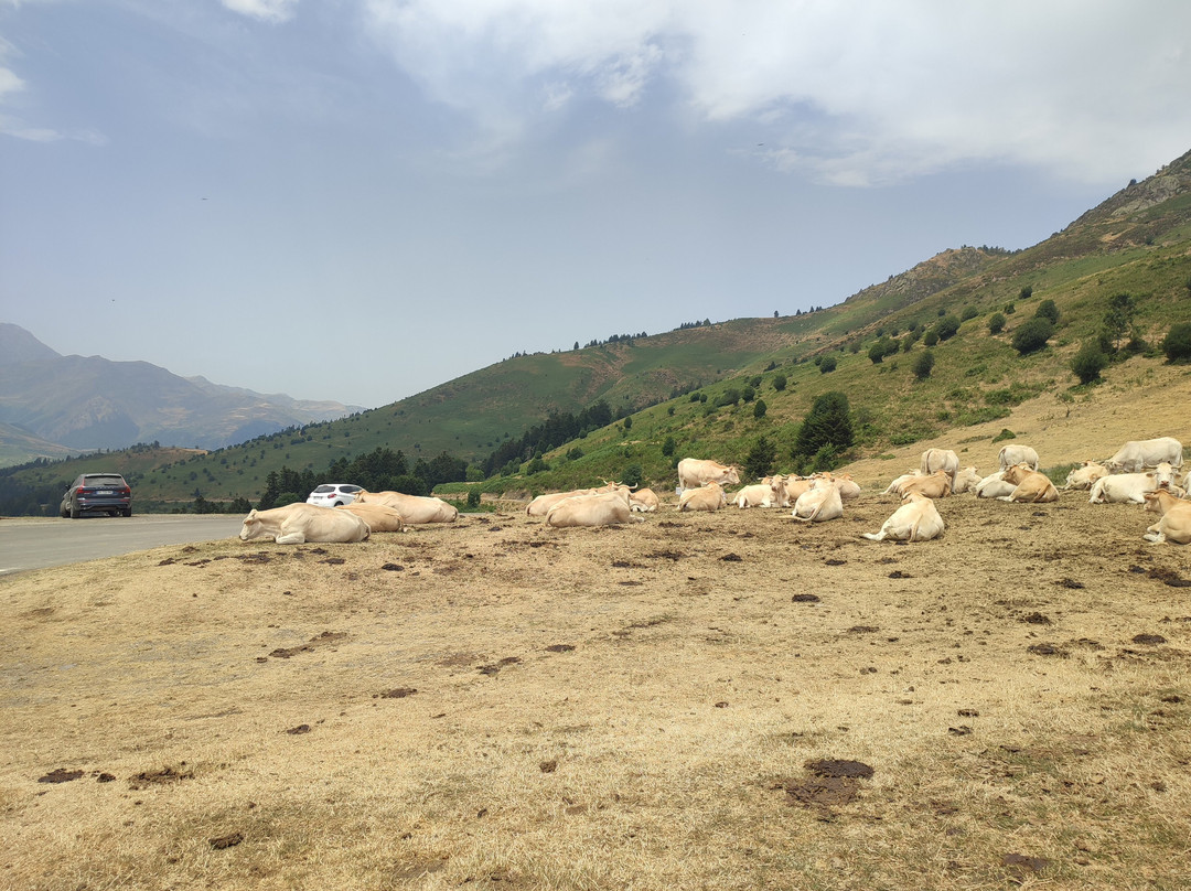 Col d'Aspin-Aspin-Aure必去景点