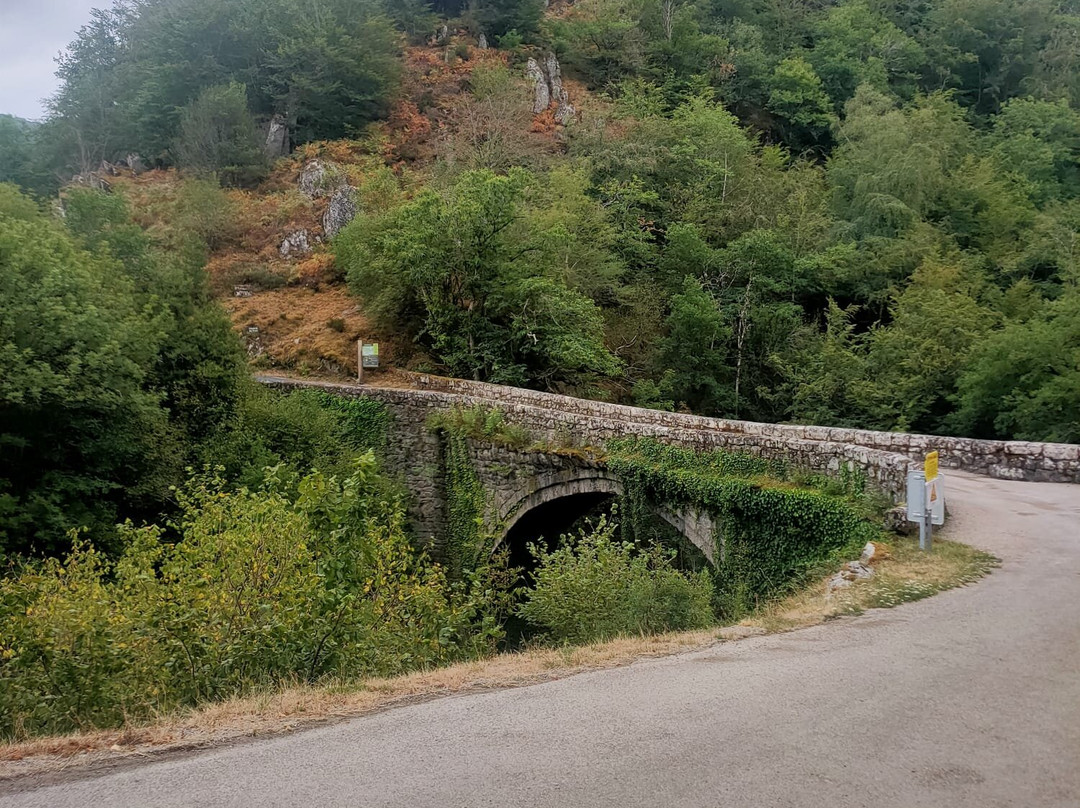 Site de Bes-Bédène-Campouriez必去景点