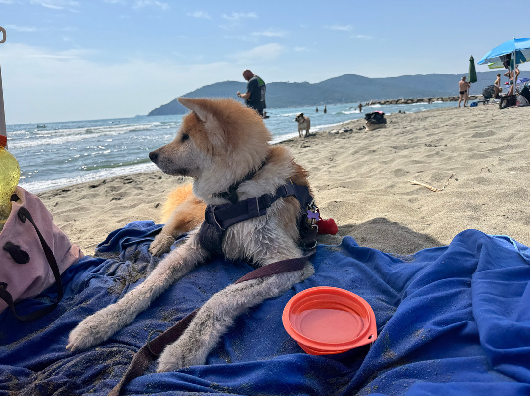 Bau Bau Beach-Marina di Carrara必去景点