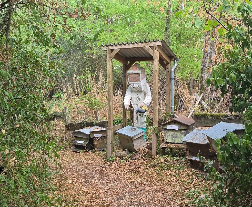Musée Vivant de l’Apiculture-Chateau-Renard必去景点