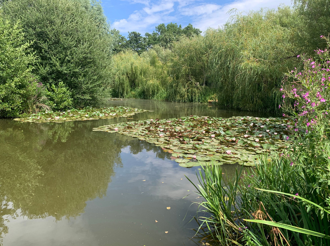 Docklow Pools-Docklow必去景点