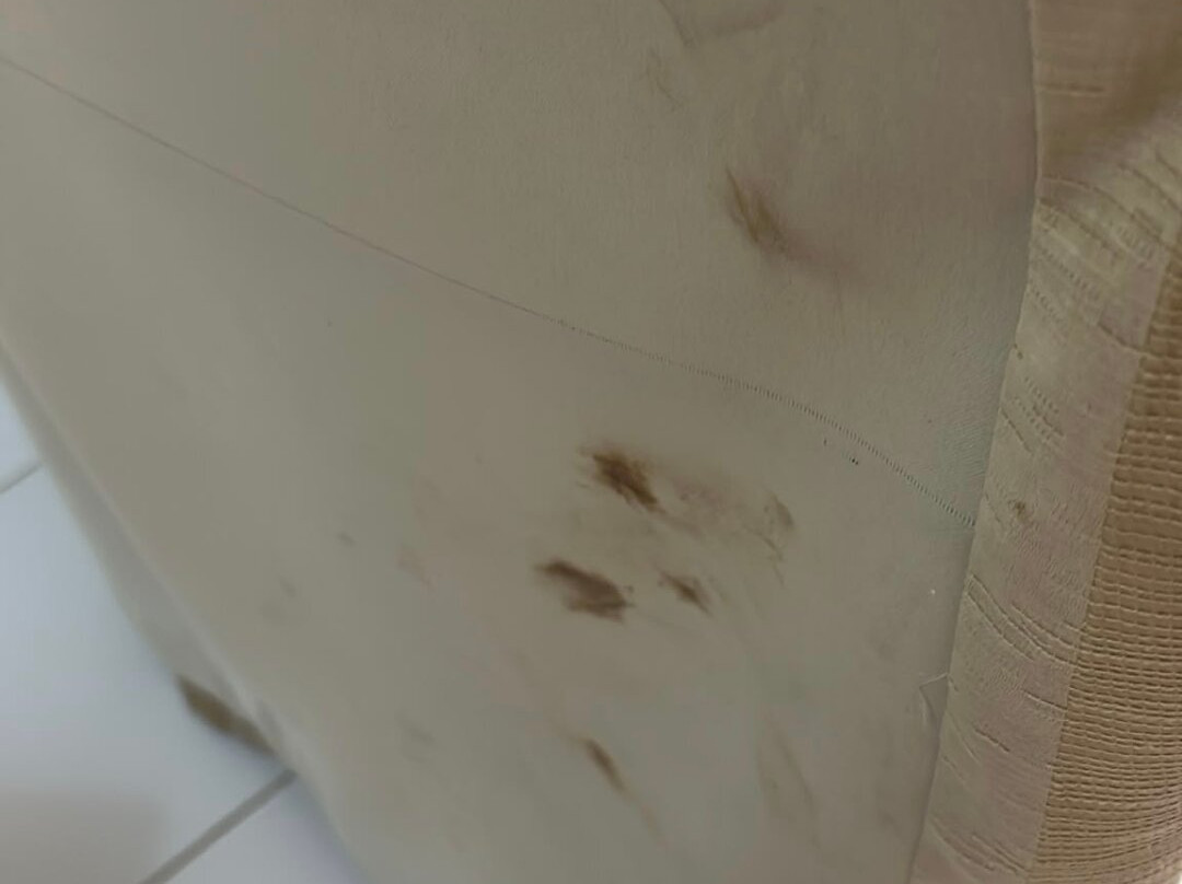 耶尼尼酒店主图