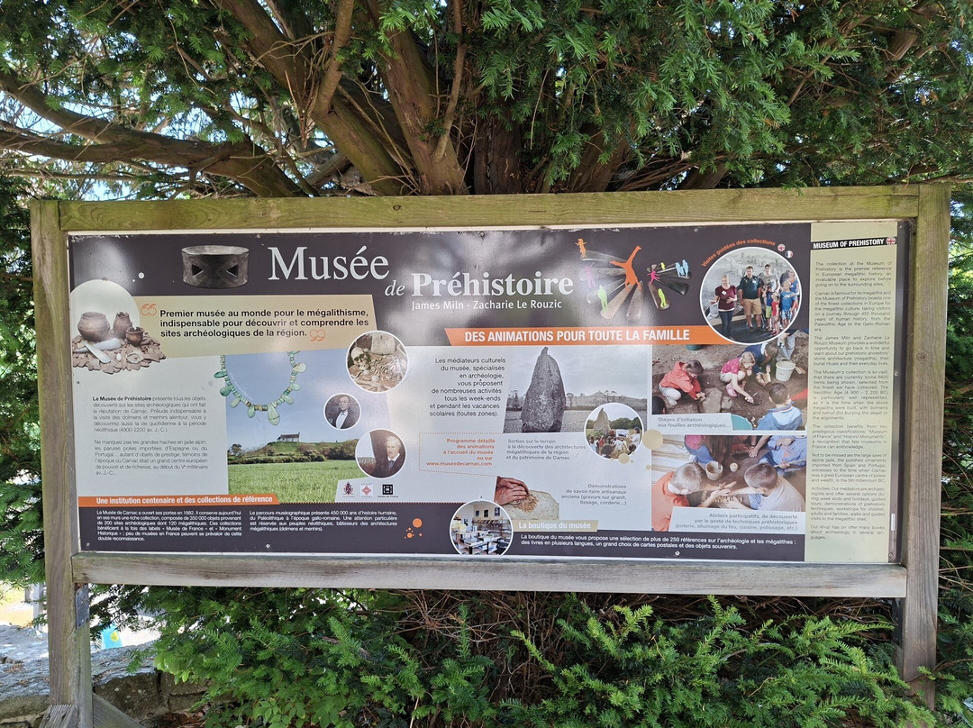 Musée de Préhistoire-卡纳克必去景点