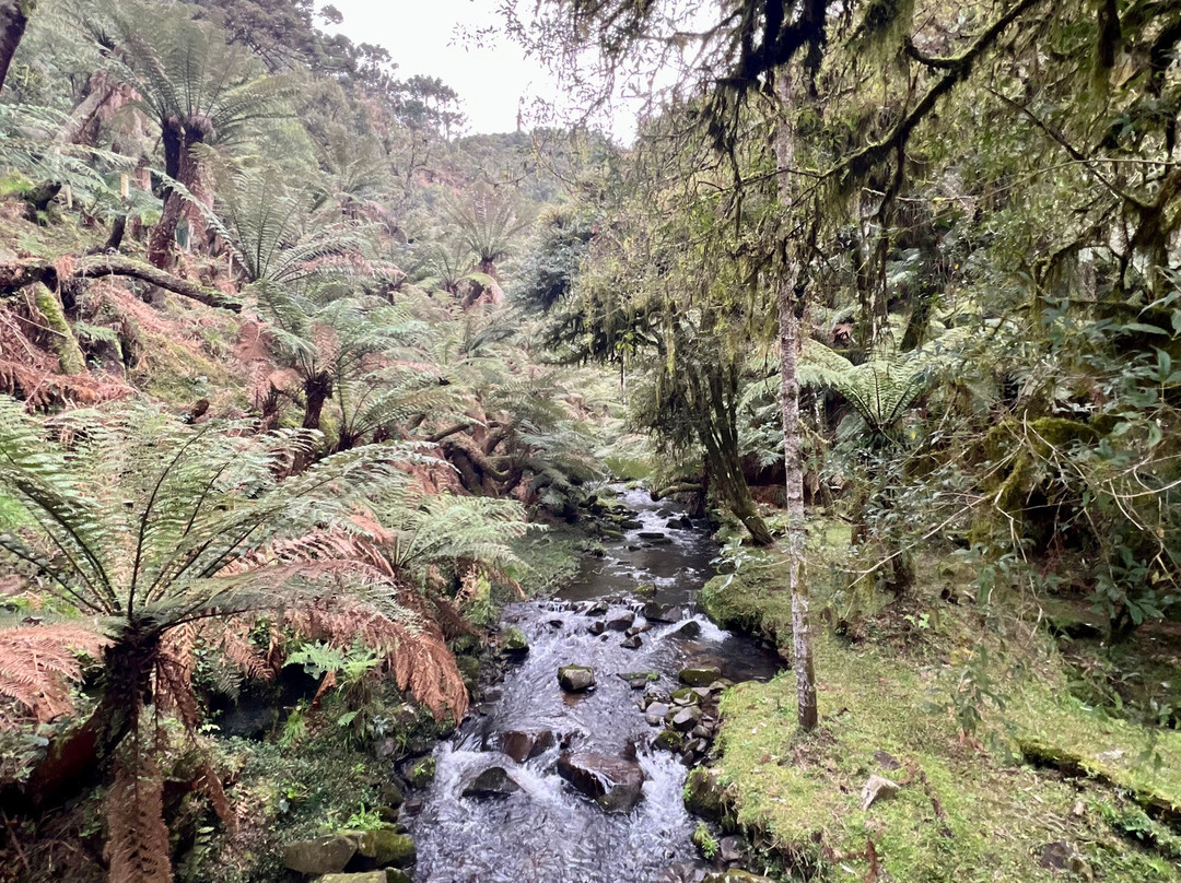 Cachoeira do Avencal-Urubici必去景点