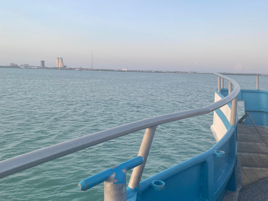Osprey Cruises-Port Isabel必去景点