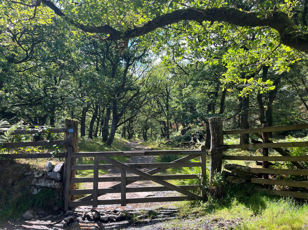 Doone Valley-Exmoor National Park必去景点