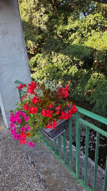 阿赫松丽芙酒店-旅行者