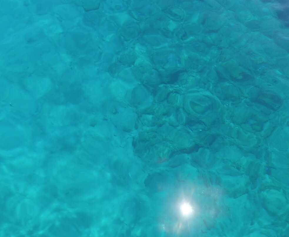 Alexsea experience & fishing tourism-Methoni必去景点