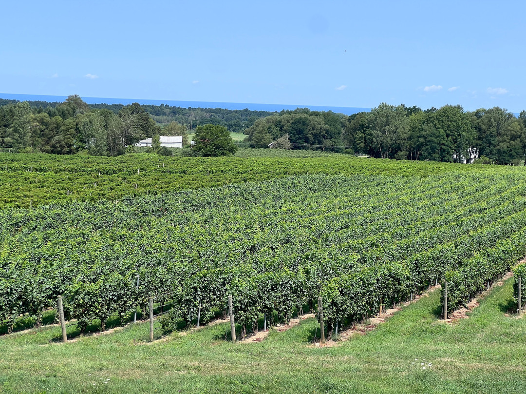 Johnson Estate Winery-Westfield必去景点