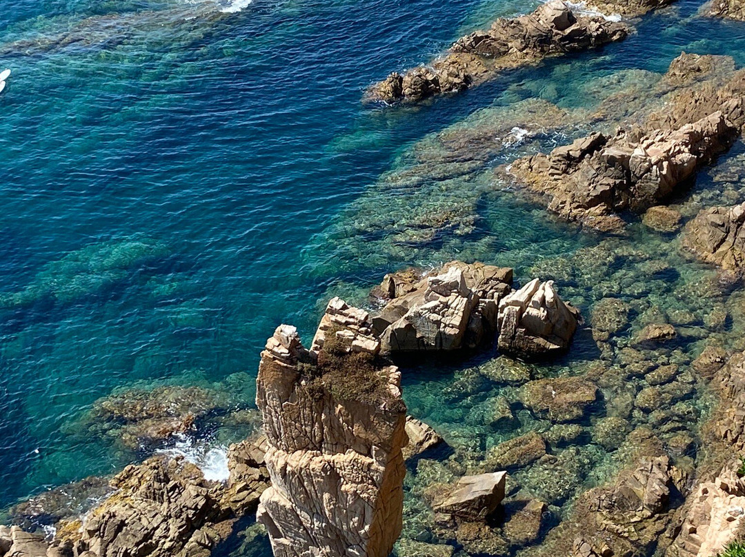 Jardí Botànic Marimurtra-布拉内斯必去景点