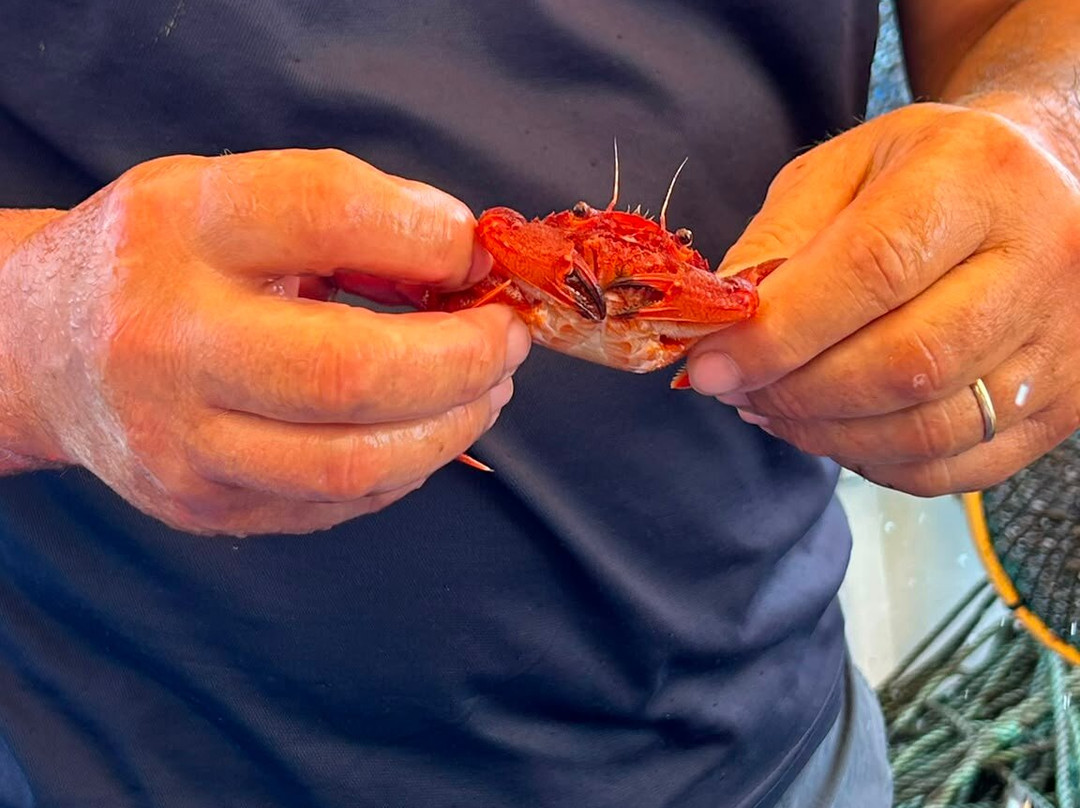 Pescaturismo K2-萨萨里省必去景点