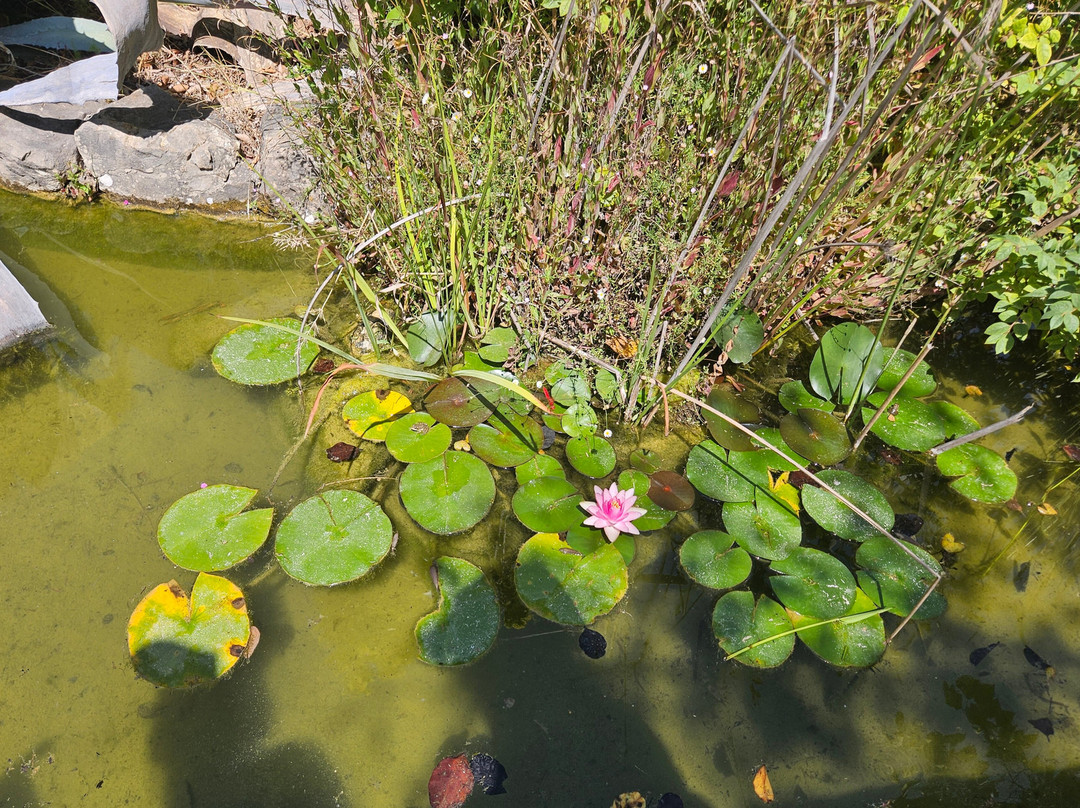 Zoa Parc Animalier et Botanique-滨海萨纳里必去景点