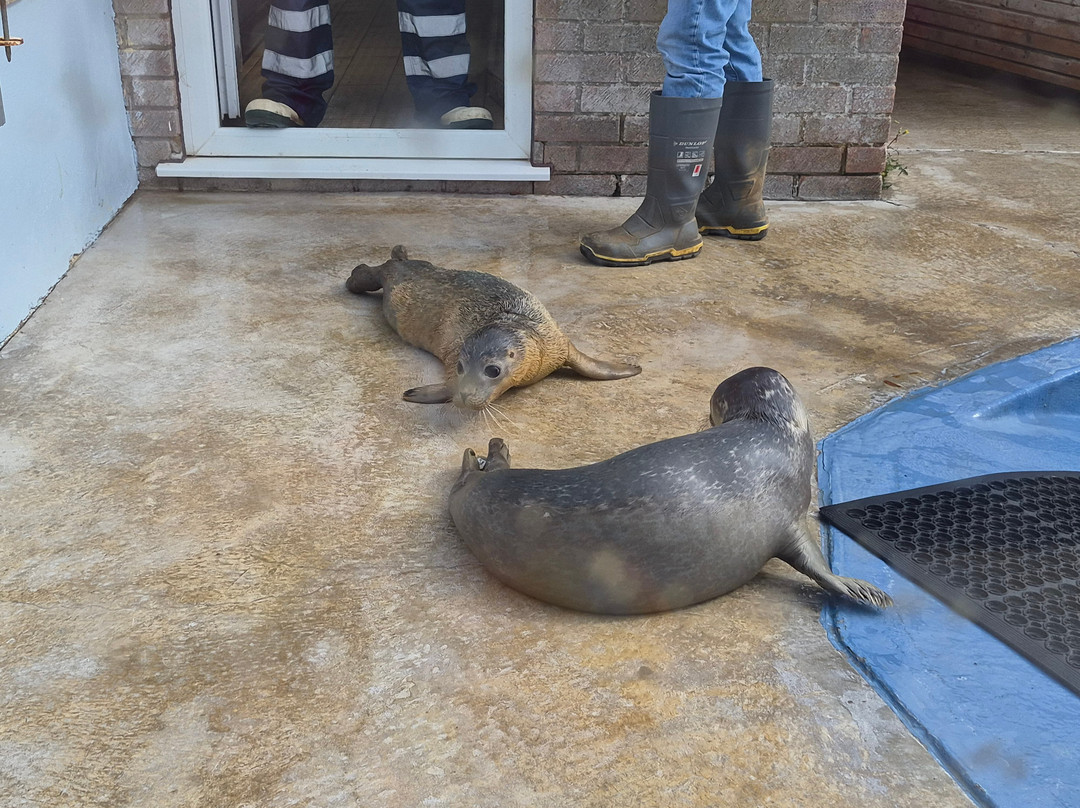 Natureland Seal Sanctuary-斯凯格内斯必去景点