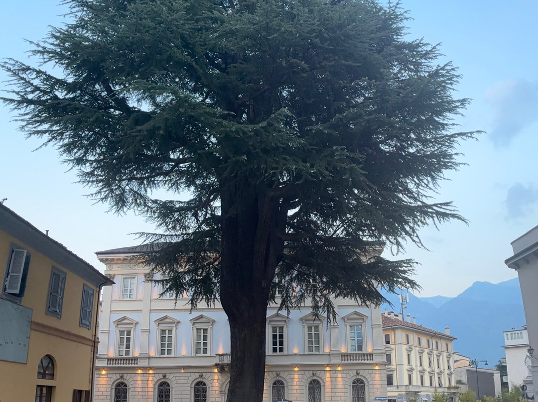D Di Domodossola-多莫多索拉必去景点
