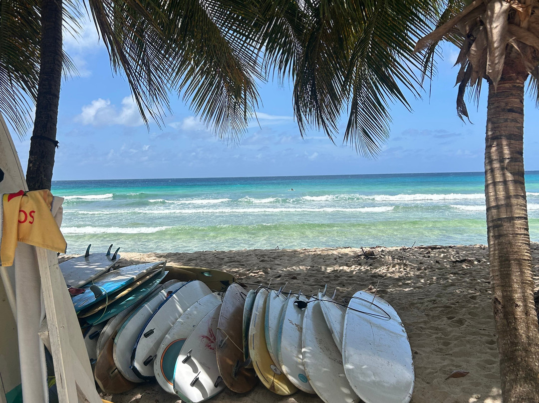 Freights bay surf school-Enterprise必去景点