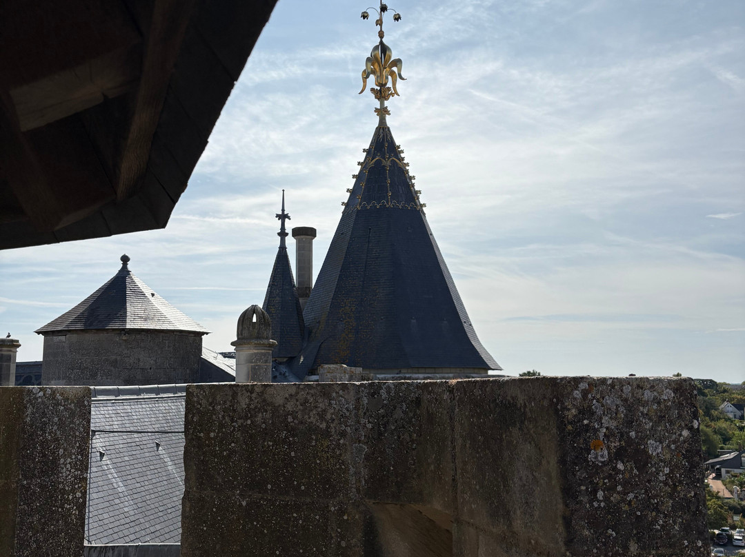 Château-musée De Saumur-梭缪尔必去景点