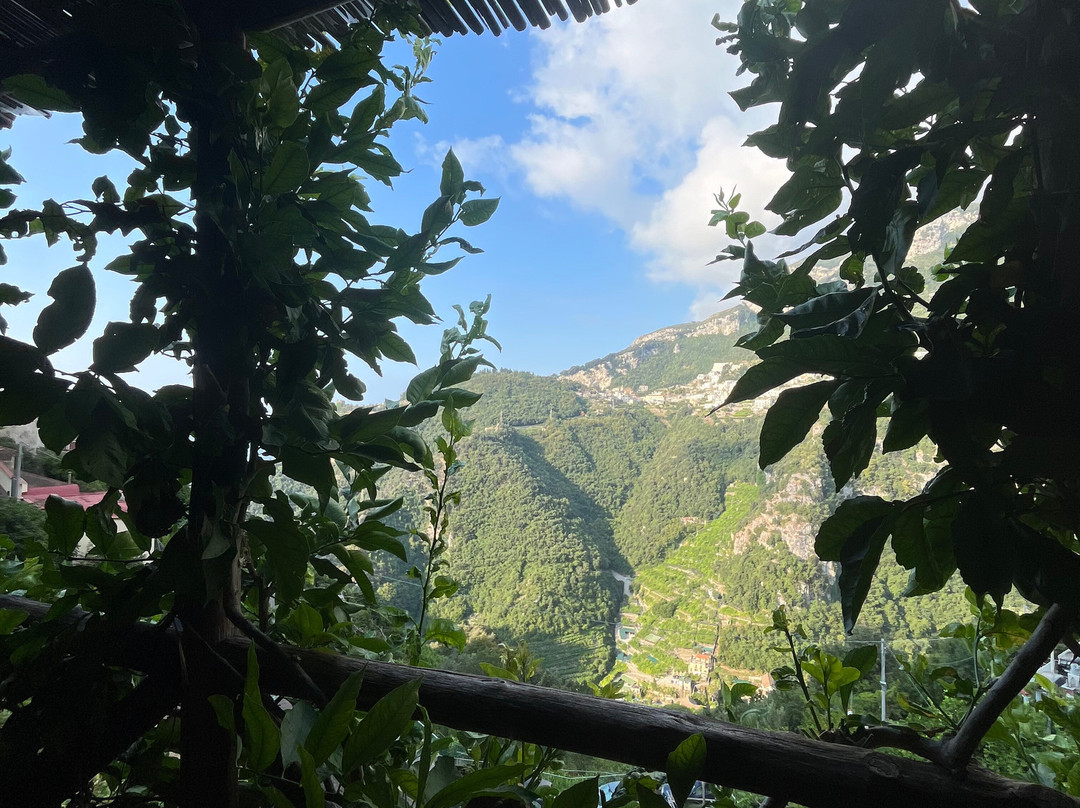 Poggio Angelarosa: Lemon Garden Stay&Relax