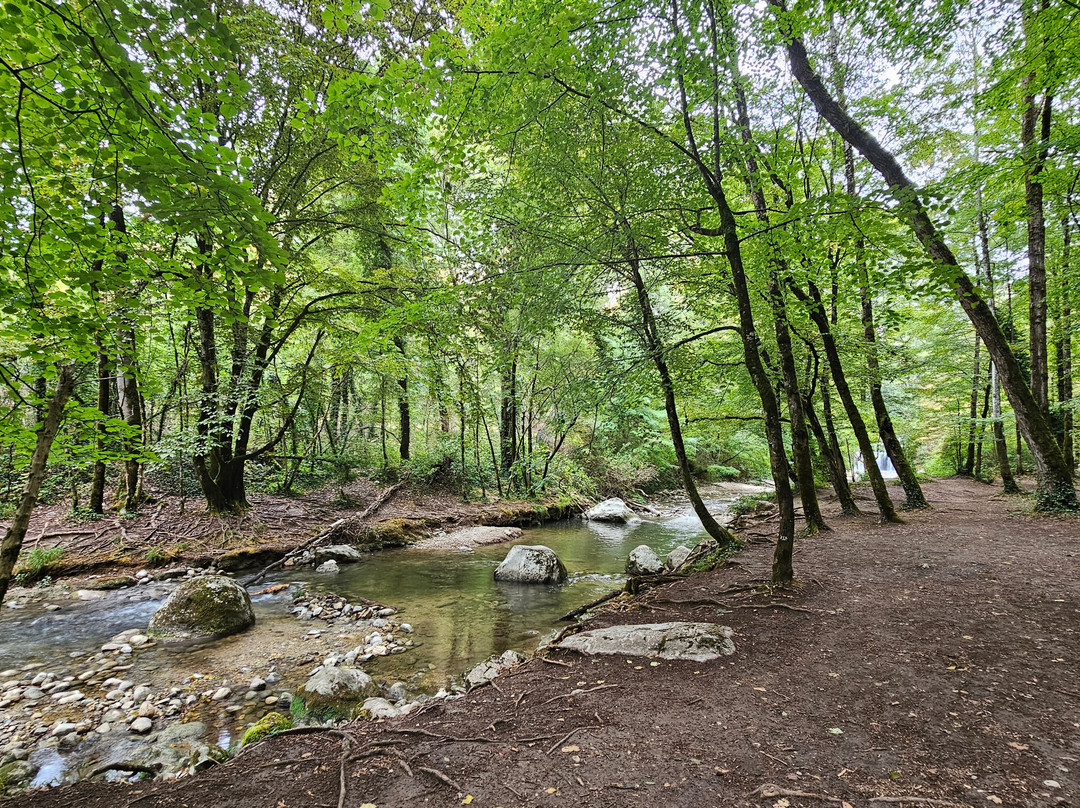 Cascade Blanche