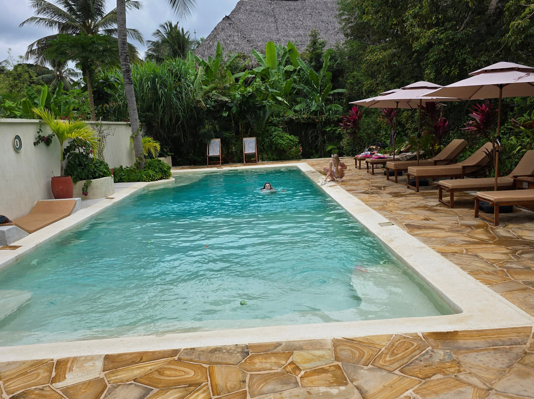 Afro Divers, Diving Center and Lodge-奔巴岛必去景点