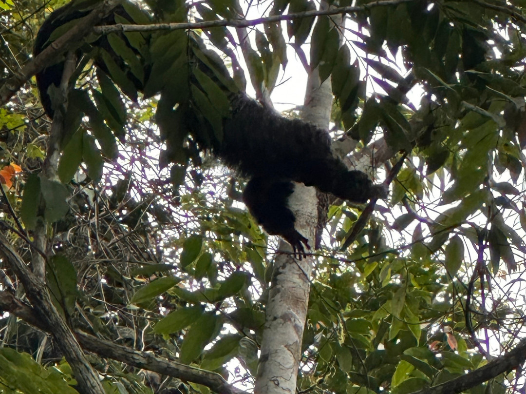 Enjoying Ecuador Travel-基多必去景点