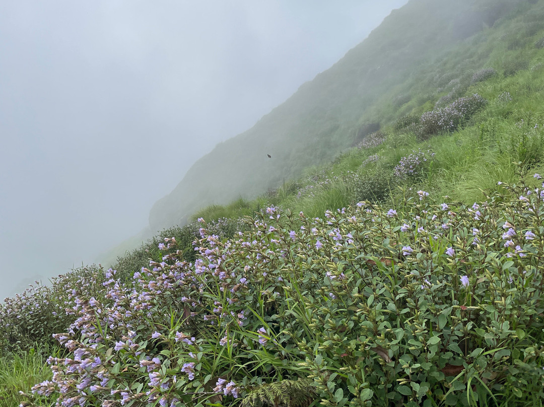 Munnar Hiking Trails-慕那尔必去景点
