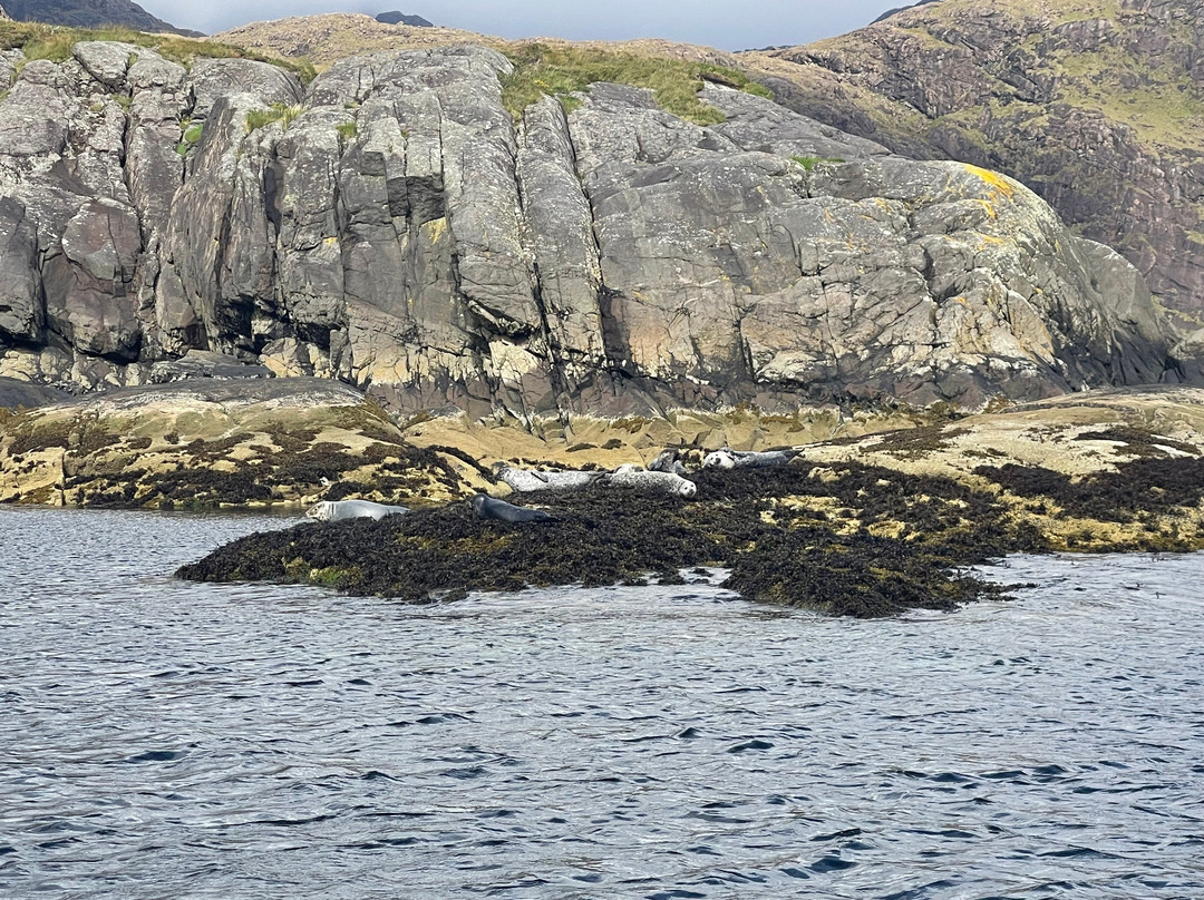 Misty Isle Boat Trips-Elgol必去景点