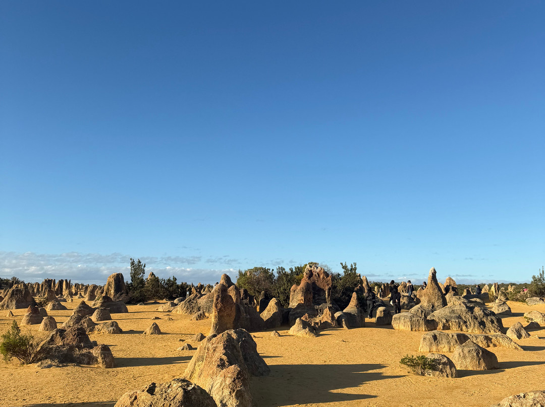Nambung National Park-塞万提斯必去景点