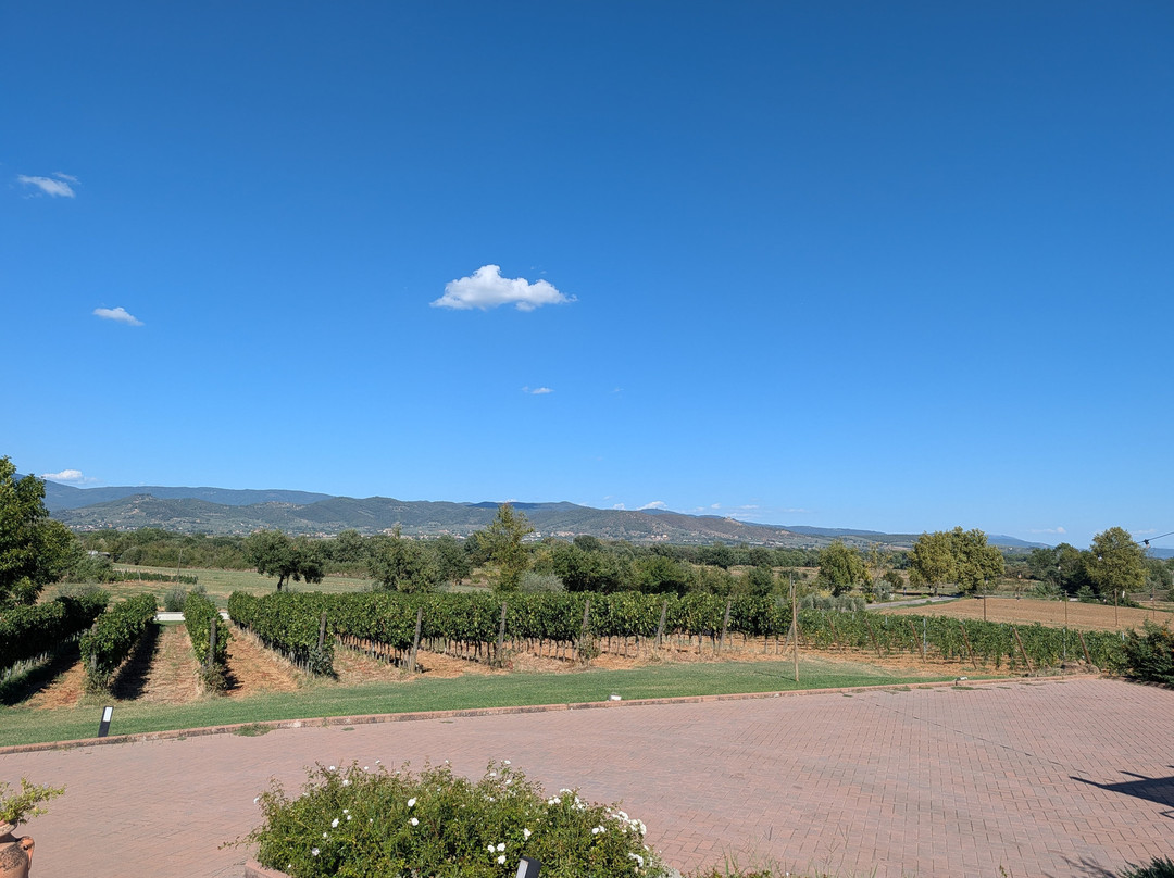 Tuscany Tours by Golden Travel-泰拉诺瓦布拉乔利尼必去景点