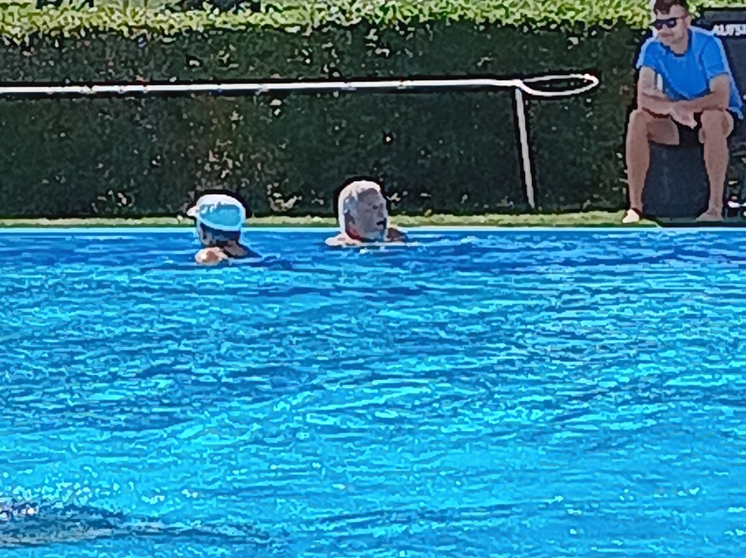 Schwimmbad Kappelrodeck