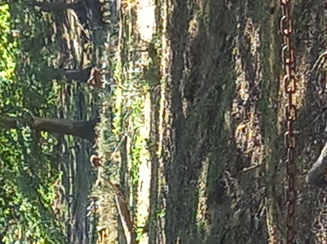 Parc Naturel de Boutissaint-Treigny必去景点
