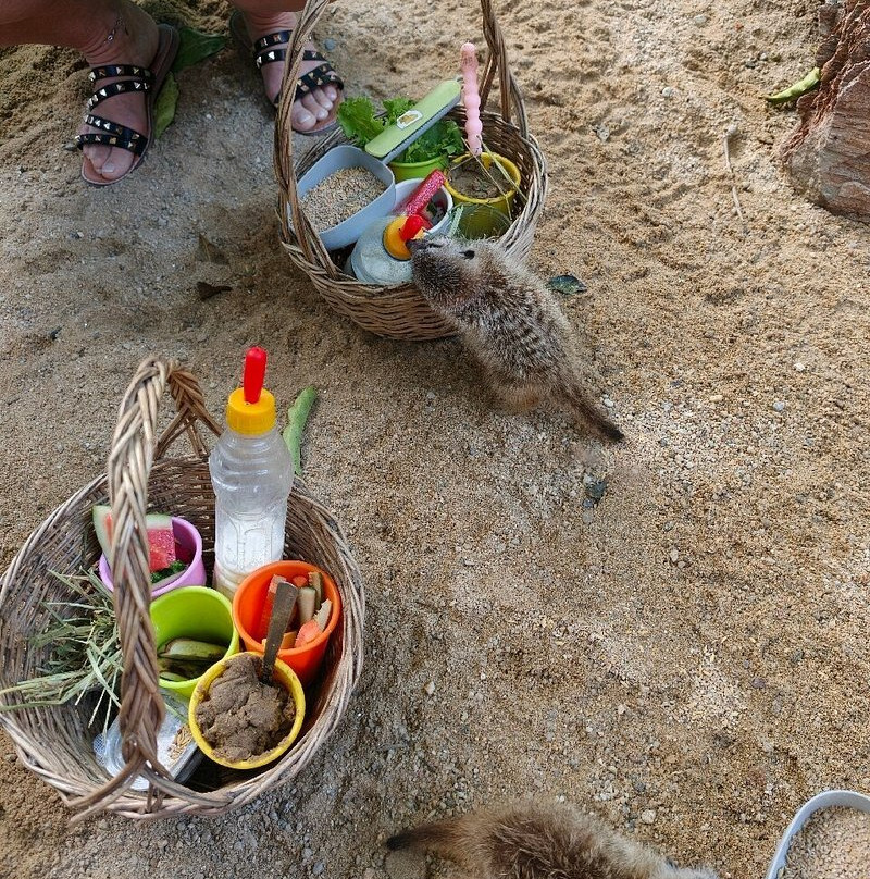 Samui Exotic Park-湄南必去景点