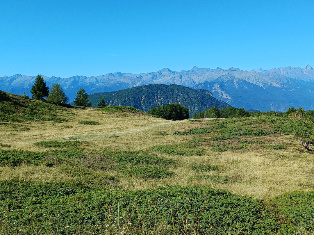 Rifugio Arp主图