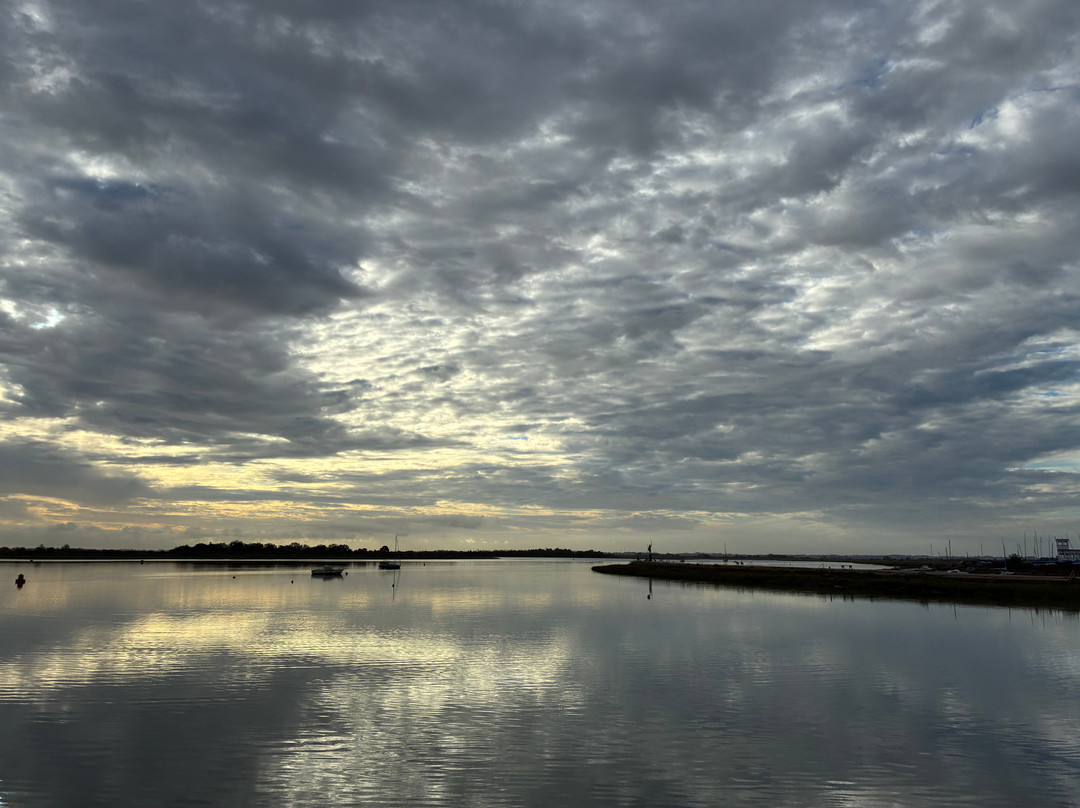 Topsail Charters - Day Tours-Maldon必去景点