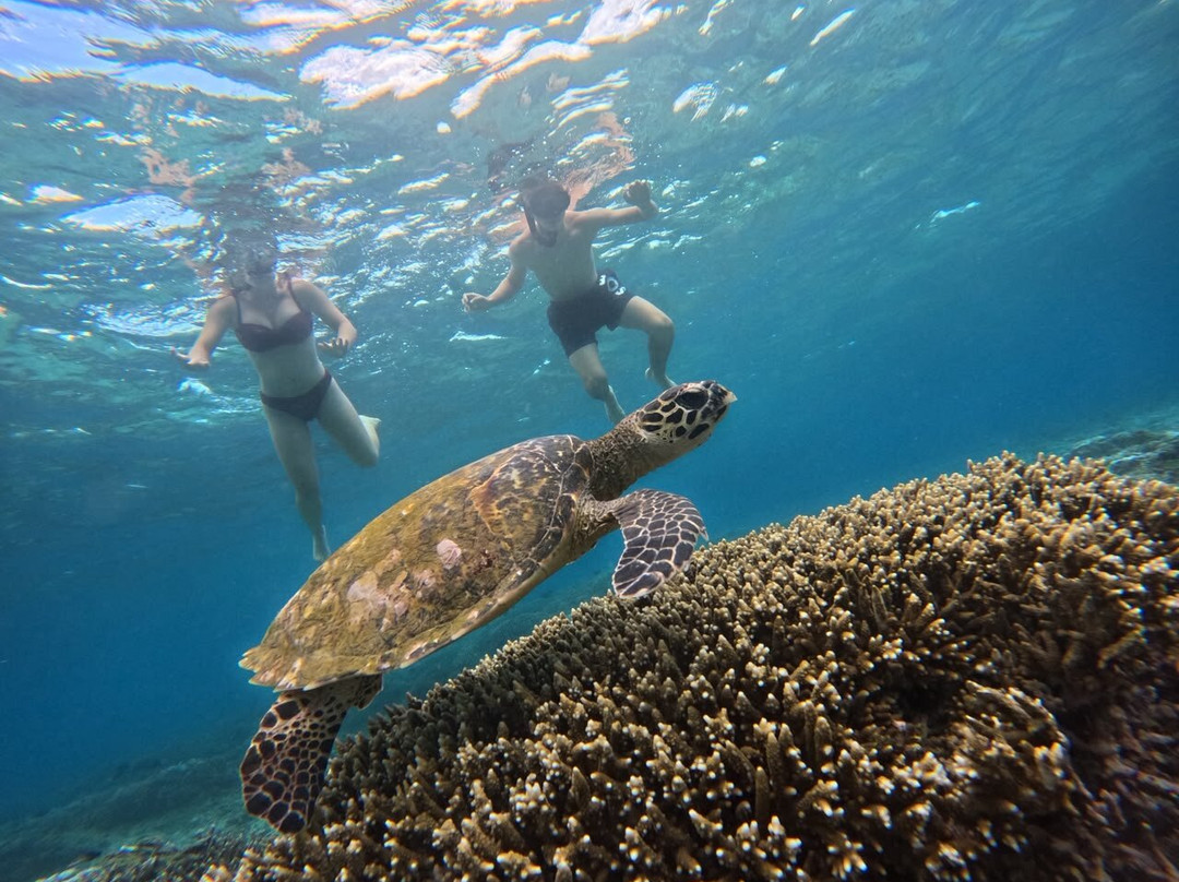 Lembongan Go Trip-克隆孔必去景点