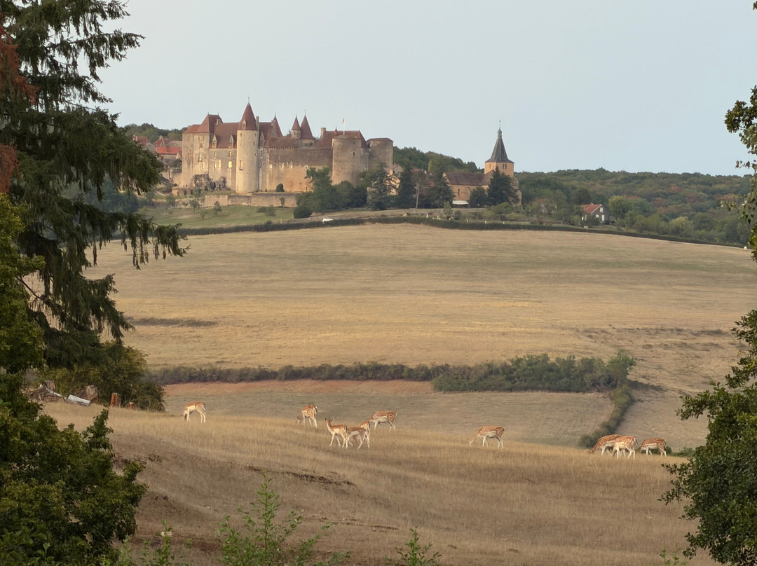 Chateau de Châteauneuf-en-Auxois-Chateauneuf必去景点