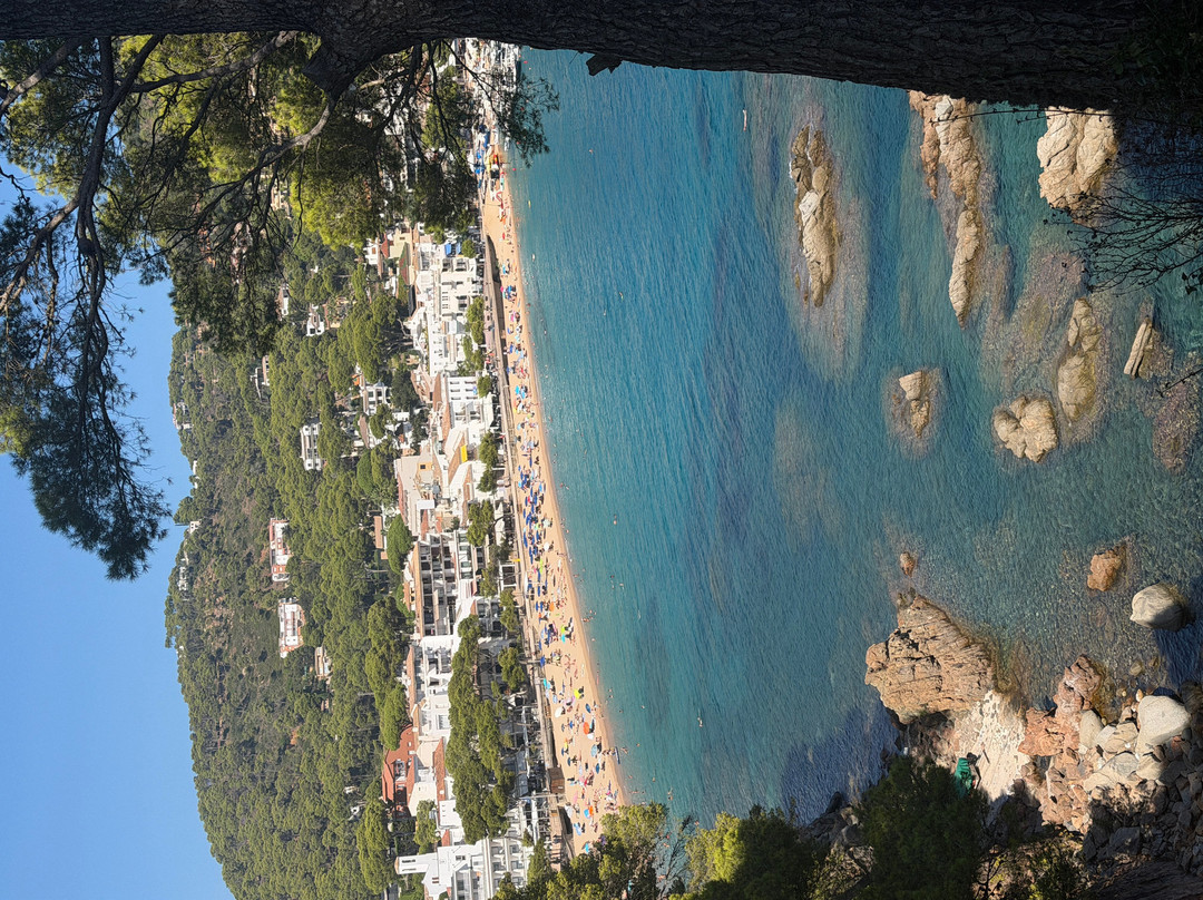 Creative Catalonia - Bike Holidays Girona Spain-赫罗那必去景点