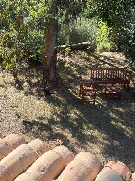 Agriturismo la Corte del Lupo-旅行者