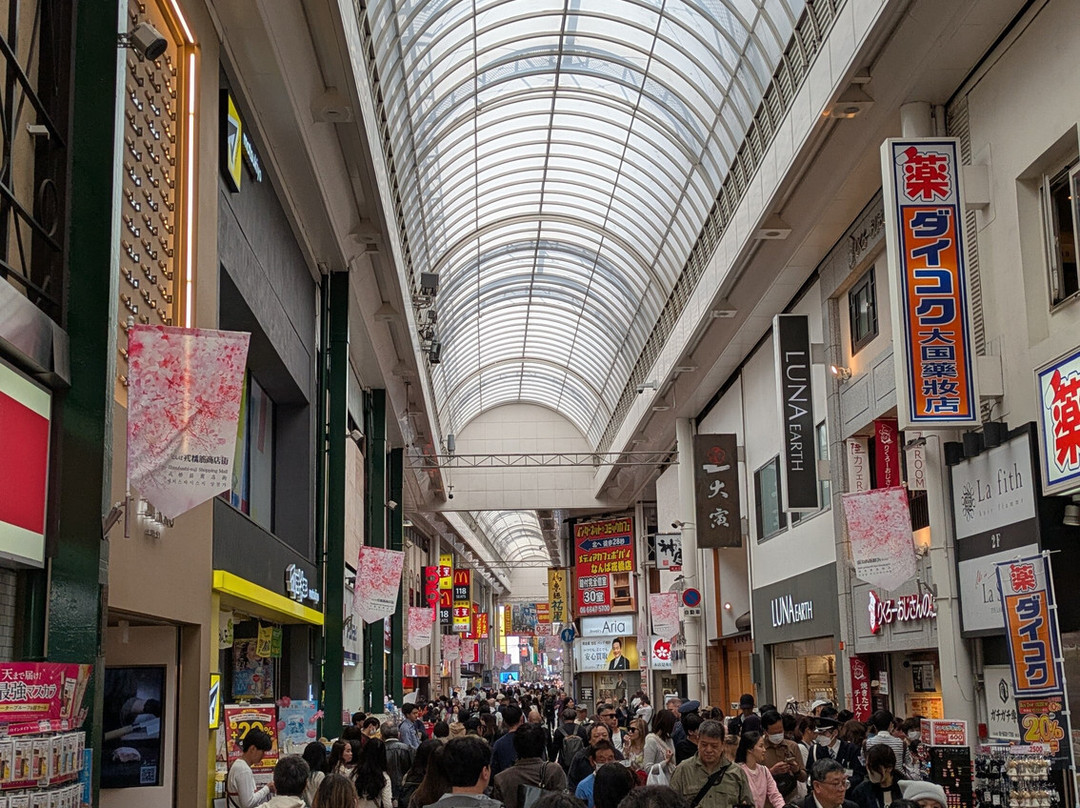 Namba Ebisu Bashi-Suji Shopping Street-Namba必去景点