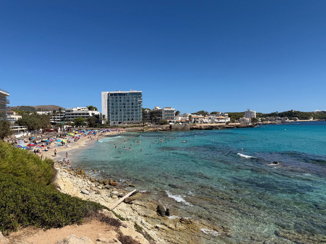 Platja de Son Moll-Cala Ratjada必去景点