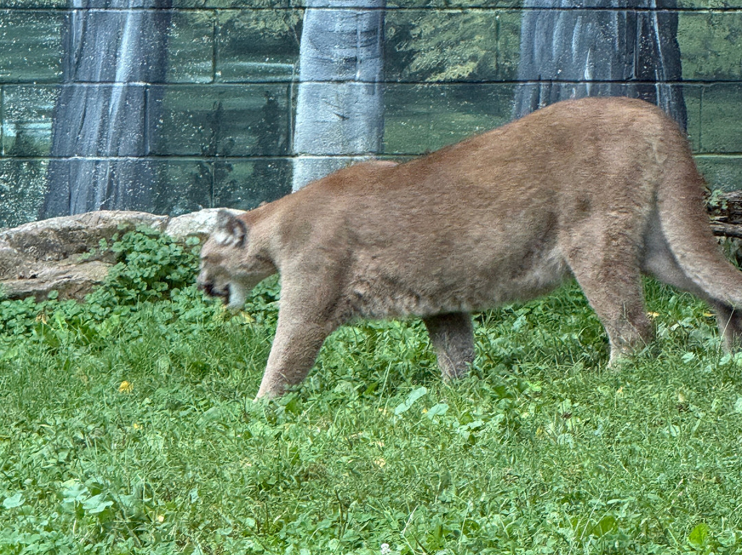 Penn's Cave & Wildlife Park-中心大厅必去景点