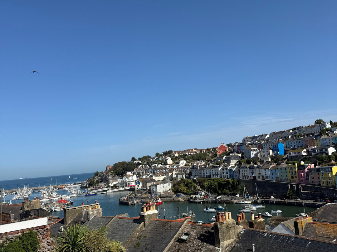 漂流木家庭旅馆主图