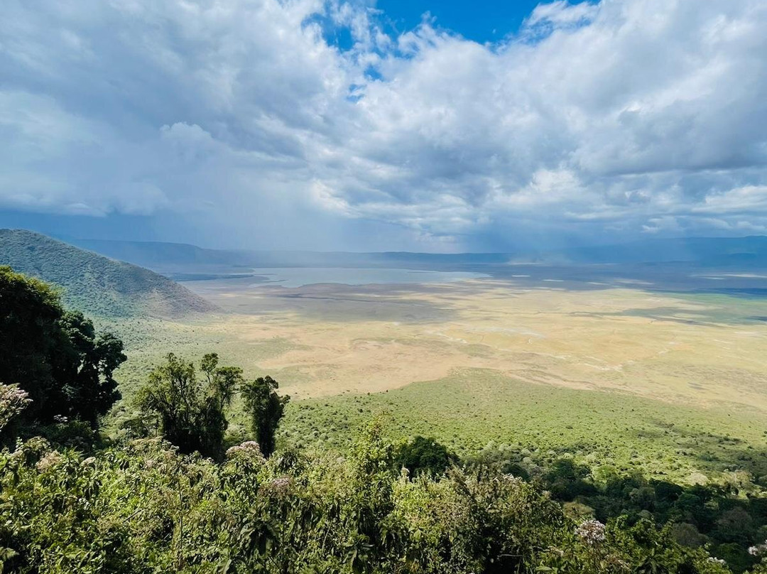 Nasikia Safaris-阿鲁沙必去景点