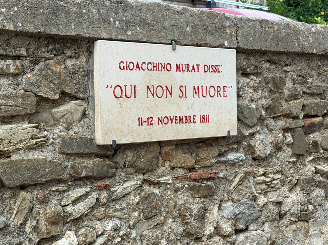 Da Mia Zia