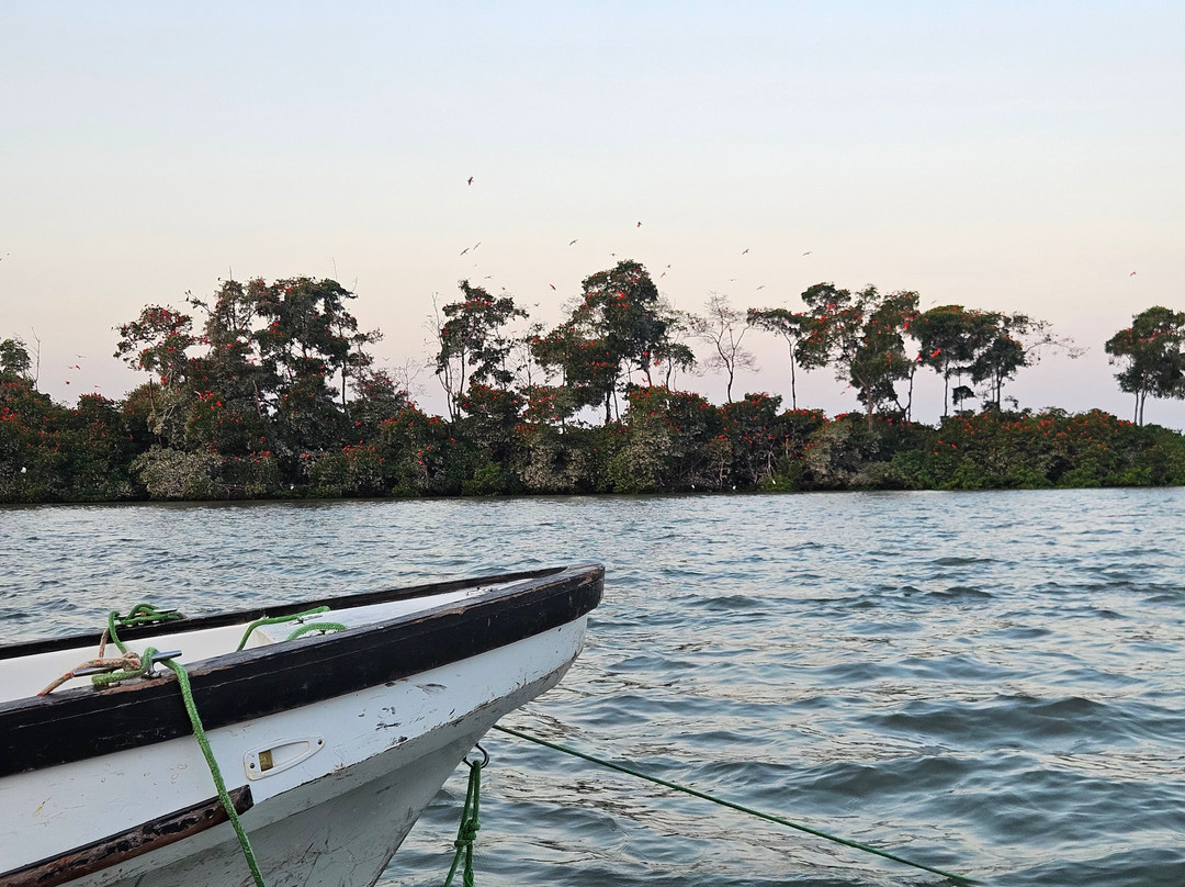 Eco Adventure Tour-Parnaiba必去景点
