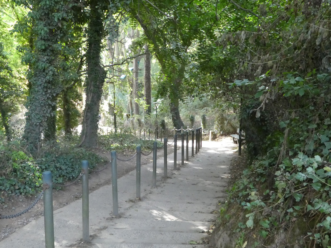 Port de le Houle-康卡勒必去景点