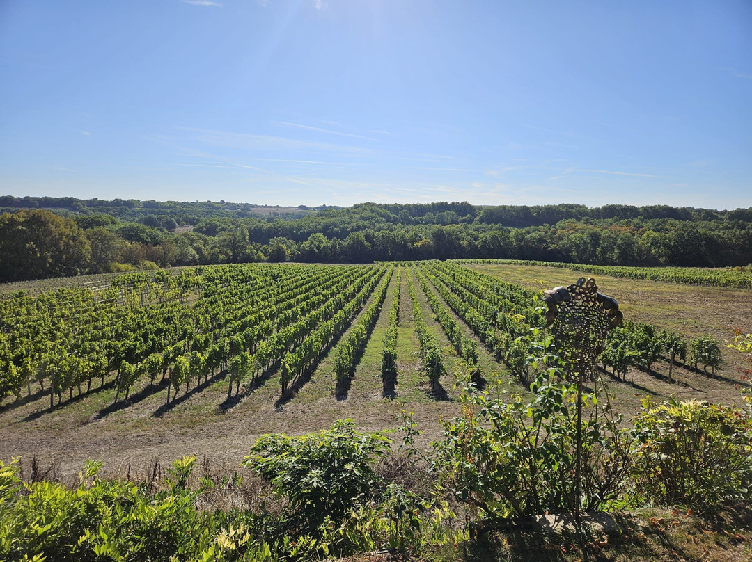 Bergerac Wine Tours-Eymet必去景点