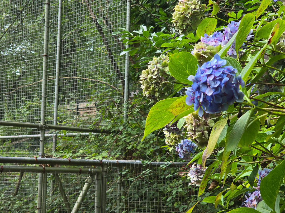 Combe Martin Wildlife And Dinosaur Park-伊尔弗勒科姆必去景点
