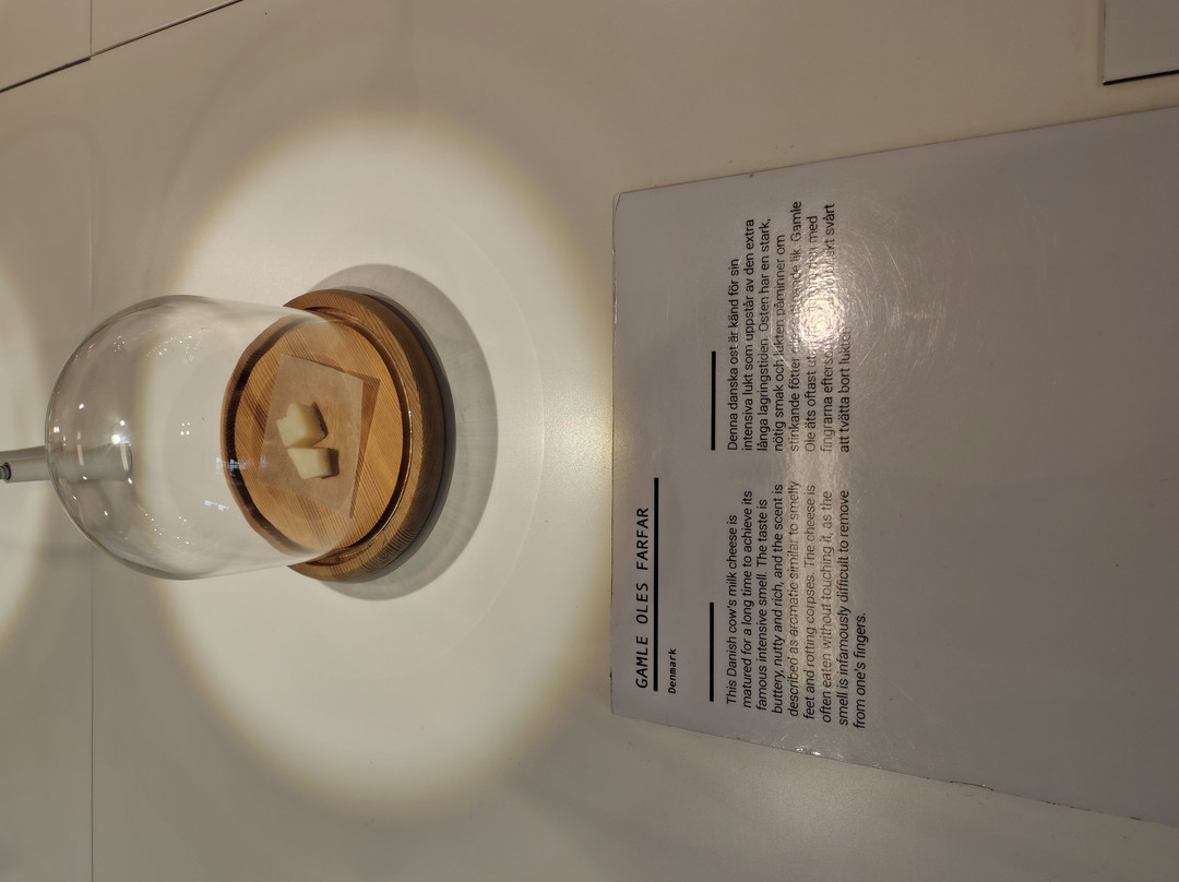 Disgusting Food Museum-马尔默必去景点